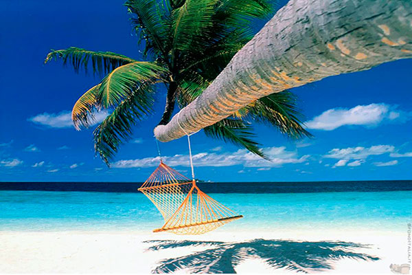 Republica Dominicana - Punta Cana (07 dias - 06 noites) Republica Dominicana - Punta Cana (07 dias - 06 noites)