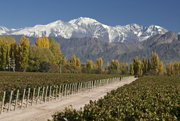 Mendoza - 4 dias / 3 noites