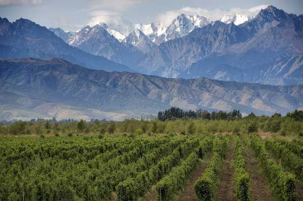 Mendoza - Corpus Christi